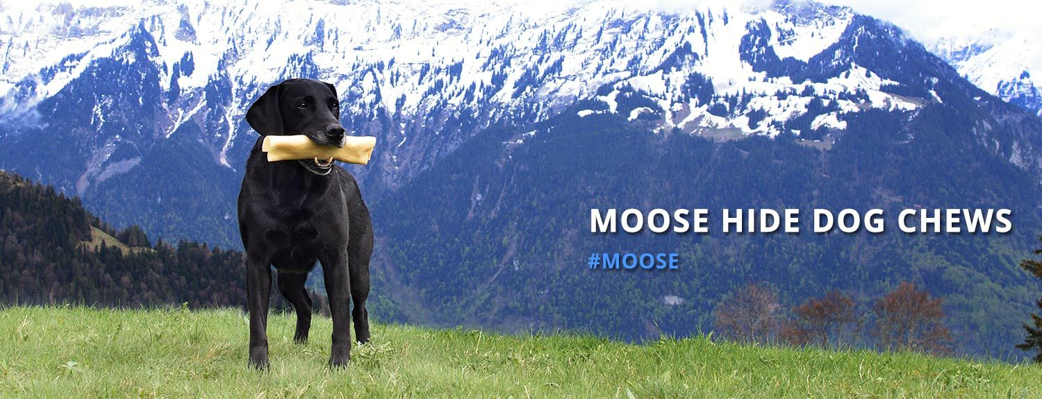 Moose Hide Dog Chews